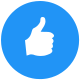 Thumbs up circle icon