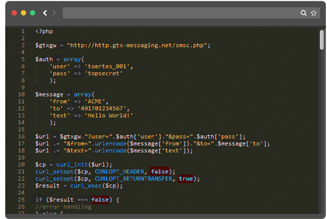 SMS Gateway API Code Example